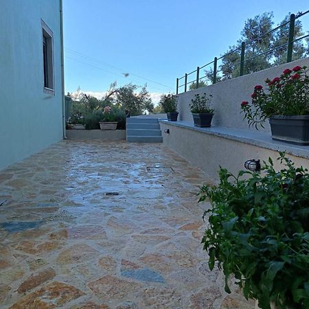 Armonia Villa Lefkada Kariótai 外观 照片