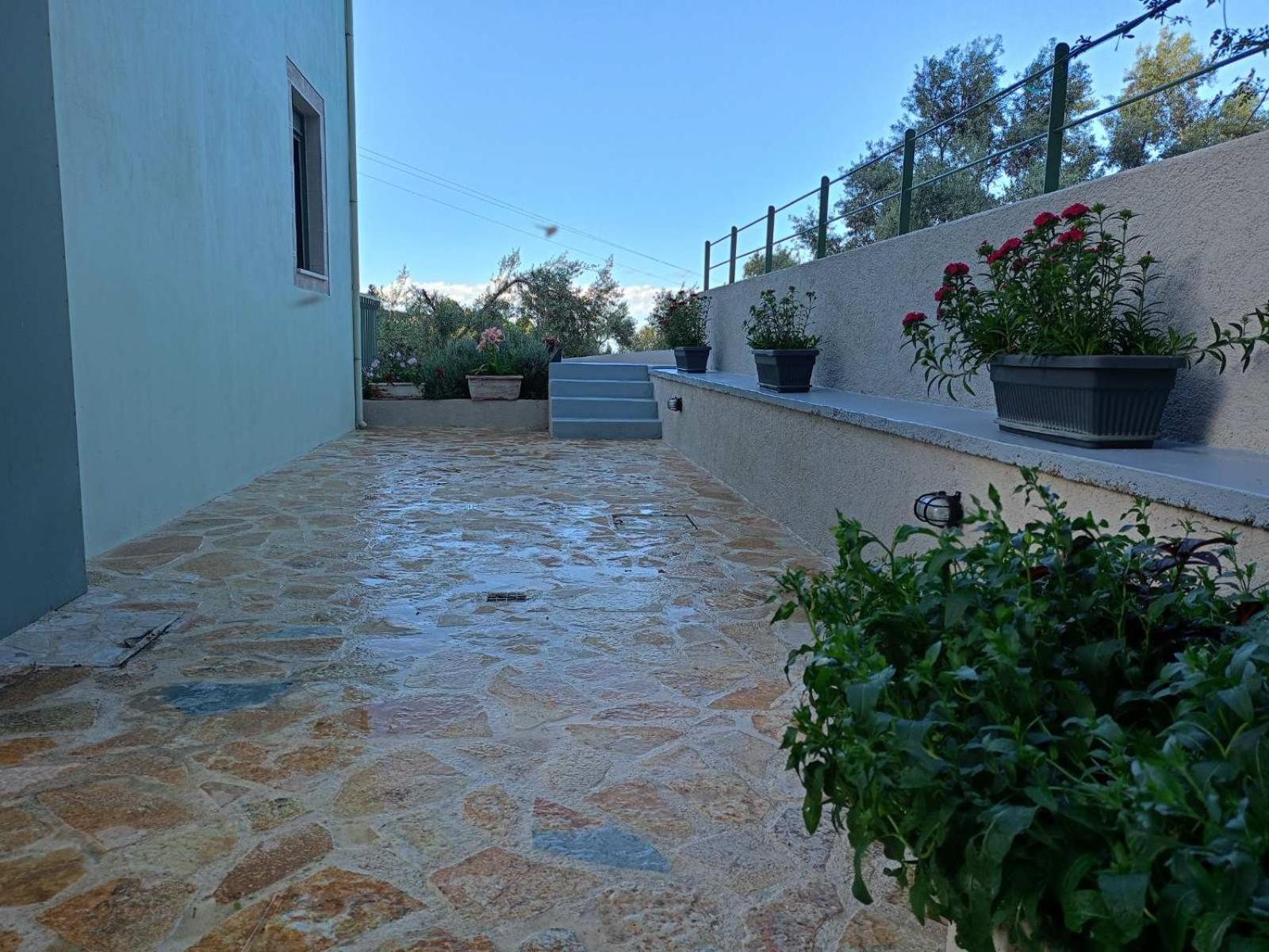 Armonia Villa Lefkada Kariótai 外观 照片